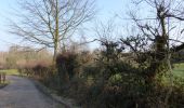 Trail On foot Hoeselt - Vrijhern Rode driehoek - Photo 1