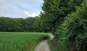 Excursión Senderismo Blegny - A travers la campagne blegnytoise 🥾 - Photo 2