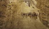 Randonnée Autre activité Dinant - grotte la merveilleuse  - Photo 9