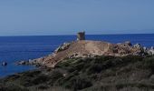 Excursión Senderismo Cargèse - la Tour de cargese Corse - Photo 12