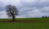 Tour Wandern Walcourt - Balade à Yves-Gomezée - Walcourt - Photo 4