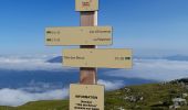 Excursión Senderismo Le Reposoir - BARGY: COL D'ENCRENAZ - PETIT BARGY - TETE DES BECUS - Photo 13