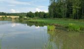 Tocht Mountainbike Saint-Clément - sortie vtt du 14/07/2018 Embermenil - Photo 3