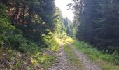 Trail Walking Presle - Le chapotet au départ de Prodin - Photo 10