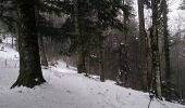 Trail Snowshoes Soultz-Haut-Rhin - Raquettes au Molkenrain - Photo 5