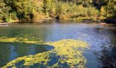 Tour Wandern Les Arcs-sur-Argens - Trace_Les_Arcs - Photo 16