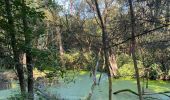 Tour Wandern Villers-la-Ville - VOV - promenade de Berines, par St Bernard et 4 chênes  - Photo 14