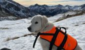 Tocht Sneeuwschoenen Isola - Tête Mercière  - Photo 1