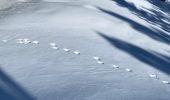 Percorso Racchette da neve Vaulnaveys-le-Haut - Lac Achard - Photo 7