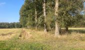 Tocht Te voet Hoogeveen - Groene rondwandeling - Photo 2