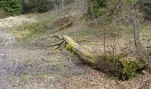 Tocht Te voet okres Ružomberok - Náučný chodník Čierny kameň - Photo 1