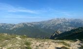 Randonnée Marche Palneca - Col de Verde usciulu - Photo 14