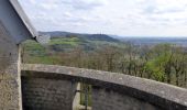 Excursión A pie Bensheim - Rundwanderweg Bensheim Bordmühle 2: Hemsberg-Weg - Photo 1