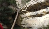 Trail Walking Gigondas - Dentelles Montmirail  - Photo 6