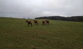 Trail Walking Naisey-les-Granges - Naisey  7 janv 2020 CAF - Photo 4