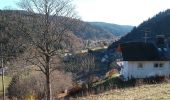 Tour Zu Fuß Todtmoos - Lebküchlerweg Todtmoos - Photo 8