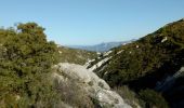 Tour Wandern Marseille - Monts St Cyr et Carpiagne  - Photo 1