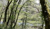 Tocht Stappen Édon - La randonnée du château de Larochebeaucourt et de l'arche de la vertue  - Photo 5