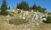 Trail On foot Unknown - Săcele - Peștera de Gheață - Cabana Piatra Mare - Photo 7