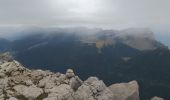 Tocht Trail Sarcenas - col de porte chamechaude - Photo 3