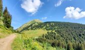 Randonnée Marche Châtel - Boucle Pré  la Joux - Col de Bachassaux - Photo 4