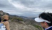 Trail Walking Sablet - Les crêtes de saint Amant  - Photo 20
