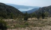 Tocht Stappen Moustiers-Sainte-Marie - segries vincel moustiers segries - Photo 2