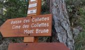 Tocht Stappen Toudon - FFR - la Cime des Colettes  - Photo 9