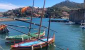 Trail Walking Port-Vendres - Port Vendres Collioure sur les hauteurs et la côte  - Photo 4