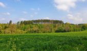 Tocht Stappen Gedinne - Balade à Gedinne - Photo 6