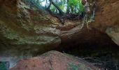 Trail Walking Belleray - grottes de la Falouses - Photo 8