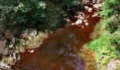 Randonnée Marche Eupen - Promenade de la forêt des ducs   - Photo 7