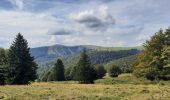 Tour Wandern Ranspach - Markstein/Treh,  Breitfist, Oberlauchen, Markstein  - Photo 1