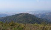 Excursión Bici de montaña Contes - mont macaron - Photo 1