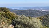 Excursión Senderismo La Garde-Freinet - La Garde Freinet - ND Miremer - Photo 1