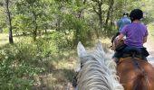 Trail Horseback riding Lauris - Provence 2025 J1 - Photo 17