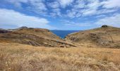 Tour Wandern Caniçal - PR8 Madère Madeira - Photo 18