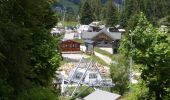 Tour Wandern Corrençon-en-Vercors - Le Pas de la Balme - Corrençon-en-Vercors - Photo 9