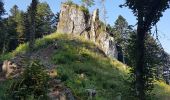 Randonnée Marche Bellefosse - Bellefosse - château des Roches - ferme du Promont - Photo 7