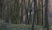 Tocht Stappen Saint-Denis-lès-Martel - Floirac, rive  Dordogne - Photo 1