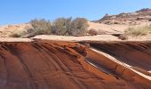 Tour Wandern Unknown - 2024 Vermillon Cliffs Edmaiers trail - Photo 19