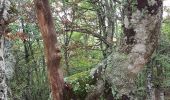 Excursión Marcha nórdica Prades-d'Aubrac - SityTrail - Sentier thématique de Brameloup - Photo 12