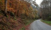 Tocht Stappen Durbuy - aisne . pont le prêtre  . villers sainte gertrude  - Photo 5