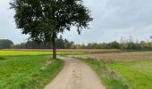 Randonnée Marche Bierbeek - Bierbeek 23 km 2020 - Photo 6