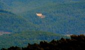 Tour Wandern Solliès-Toucas - Valaury - Apier - Matheron - Photo 19