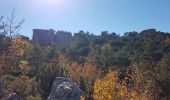 Randonnée Marche Castellane - CASTELLANE - CADIERES DE BRANDIS PAR COL DES LEQUES - Photo 18