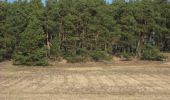 Tour Zu Fuß Zossen - Rundwanderweg Schünow - Horstfelde - Photo 8