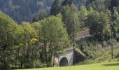 Randonnée A pied Gemeinde Breitenstein - Breitenstein - Klamm - Photo 8