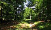 Trail Walking Trosly-Breuil - en forêt de Compiègne_28_les Tournantes sur le Mont Saint-Mard et sur le Mont Collet - Photo 18