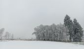 Randonnée Marche Spa - entre fagne et bois - version courte - Photo 16